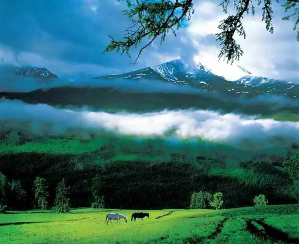 新疆是一幅畫,美得讓人沉醉 新疆是一幅畫,美得讓人沉醉