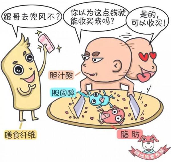 查出頸動脈斑塊,飲食該如何注意 查出頸動脈斑塊,飲食該如何注意