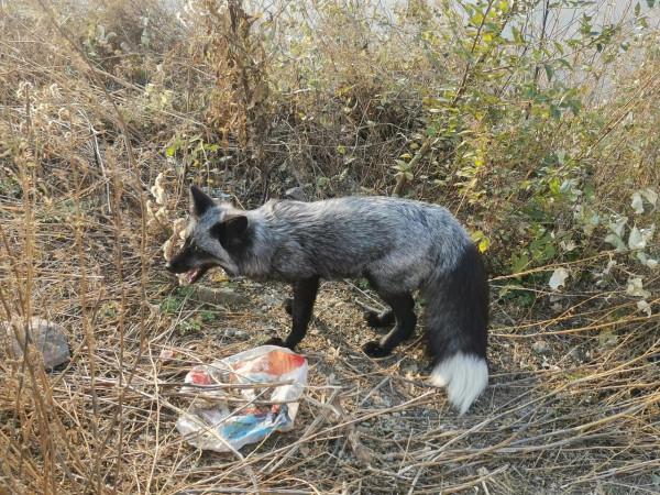 新開通的門頭溝大禪路，山巒疊嶂，峽谷步道，小溪潺潺