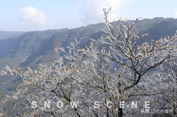 世外康養基地丨南方沒有雪？海子山、天鵝堡的冬天你值得擁有