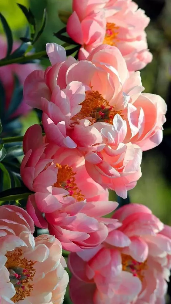 中國的“十大”，快來看看...