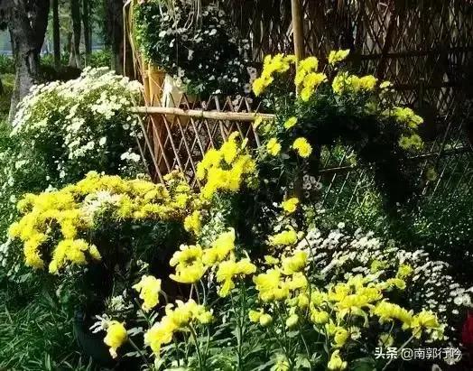 七絕《初冬五首》