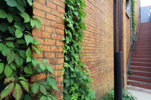 副中心最“迷你”的文創園,吃住玩讀為一體,濃縮的都是精華! 副中心最“迷你”的文創園,吃住玩讀為一體,濃縮的都是精華!