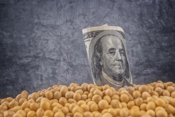 2004年,美國向中國發起大豆戰爭,中國慘敗,大豆市場被美國壟斷 2004年,美國向中國發起大豆戰爭,中國慘敗,大豆市場被美國壟斷