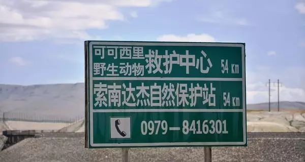 可可西里，到底是怎樣一個地方