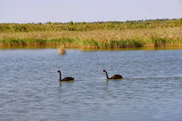旅遊月曆 | 11月,給你點暖 旅遊月曆 | 11月,給你點暖