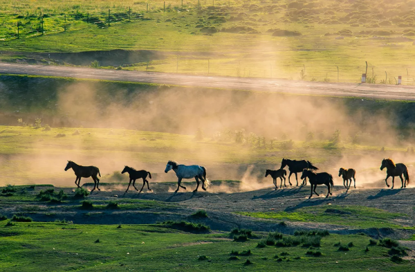 2021年，新疆非去不可，新疆怎麼玩，看完這一篇就夠了