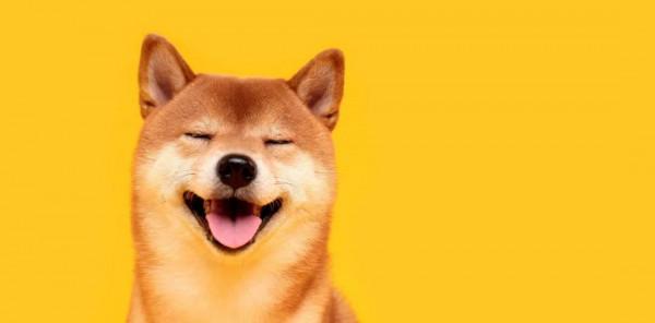 每個人都有自己的味道,究竟什麼是體味? 每個人都有自己的味道,究竟什麼是體味?