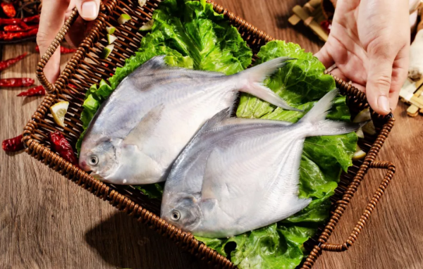這款海魚，鮮甜肥美，舌尖上的海味