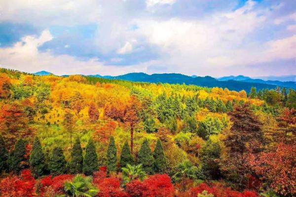 如果一生只能擁有兩場旅行，那我一定選雲南和貴州
