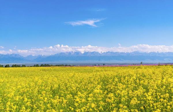 新疆風景最美的10條公路,你心動哪一條? 新疆風景最美的10條公路,你心動哪一條?