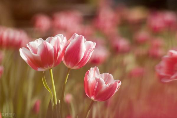 10月份的運勢:射手座、摩羯座、天蠍座 10月份的運勢:射手座、摩羯座、天蠍座