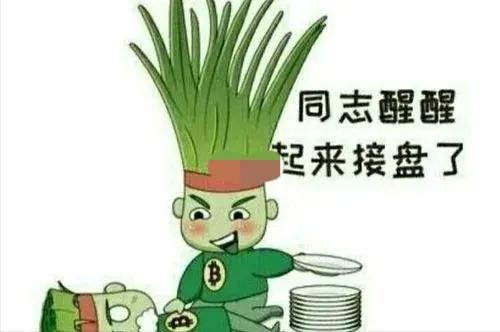 從今開始不再做韭菜
