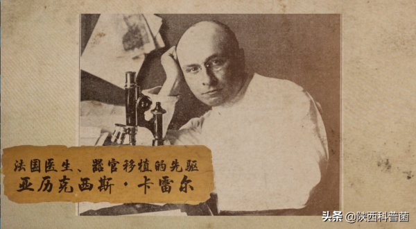 造一個人，需要幾步？