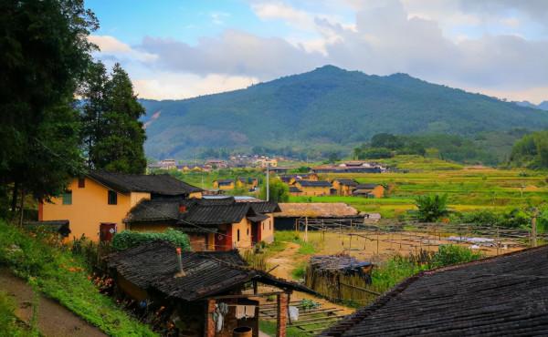 有一種人，在異鄉定居多年，仍然盼望回到家鄉