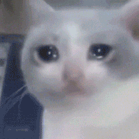 &OpenCurlyDoubleQuote;打車被拒載後，我家狗學會了騎車&rdquo;