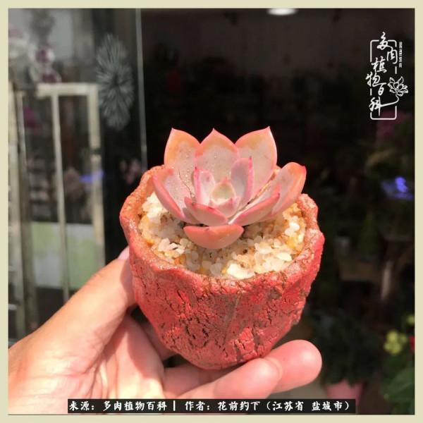 你儘管善良,福報都在路上 你儘管善良,福報都在路上