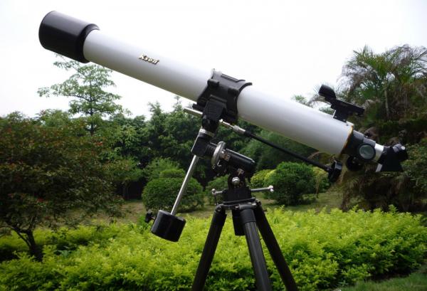 1957一隻狗被人類送入太空，流浪太空的英雄狗，現在變成什麼樣？