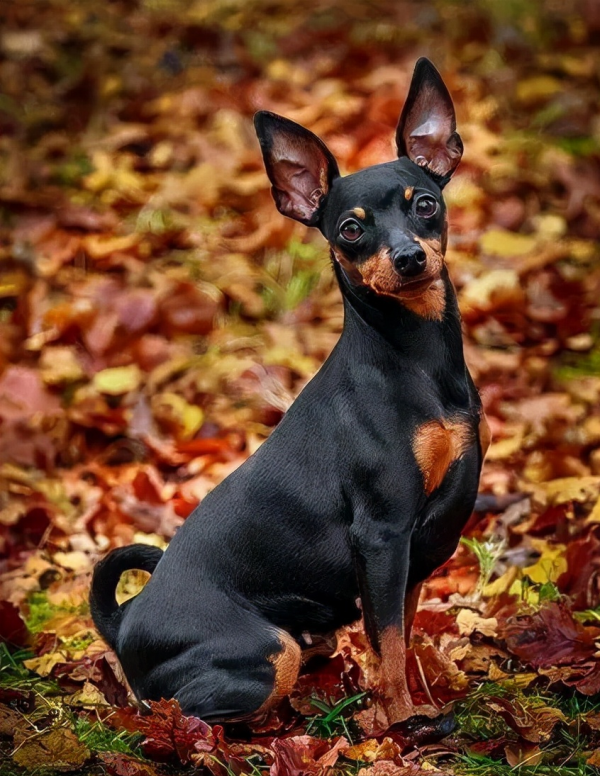 你不知道的曼徹斯特，帶你看看真實的英國第二大城市