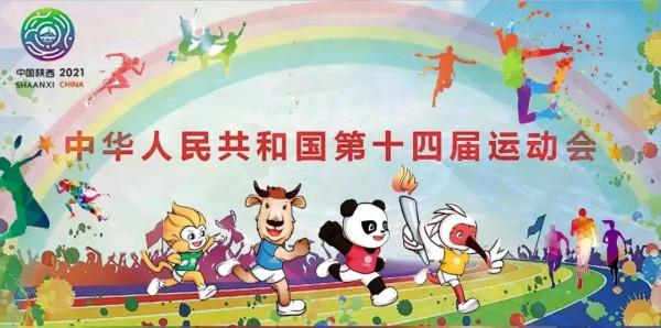 聚焦全運丨馬術三項賽 廣東隊團體領跑