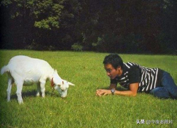 老照片：德軍擠羊奶，美軍將日軍頭顱送給女友，溥儀同戰犯下圍棋