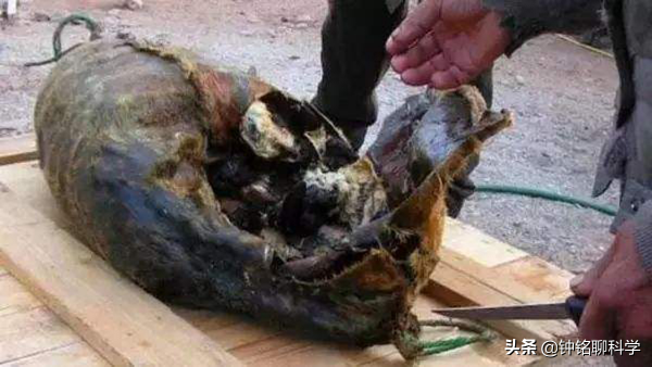 零下50℃！北極冬季成“苦寒之地”，愛斯基摩人如何在極地生活？