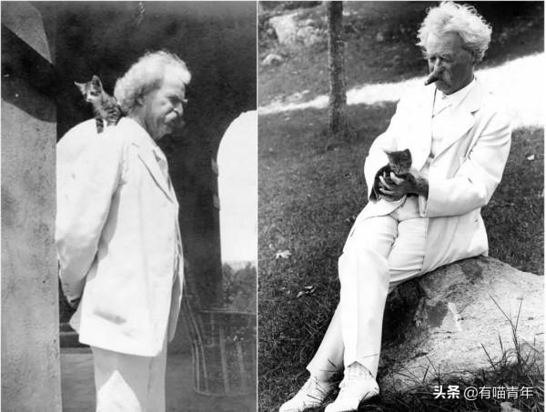 乾隆也太會給貓起名了！現代人只會：咪咪