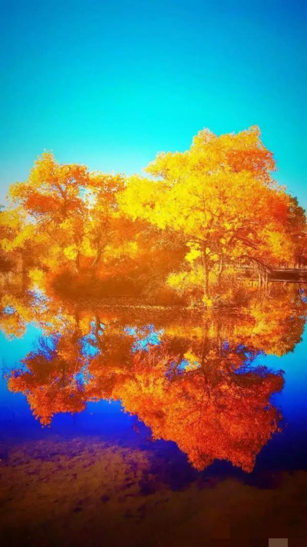 最美最迷人的倒影