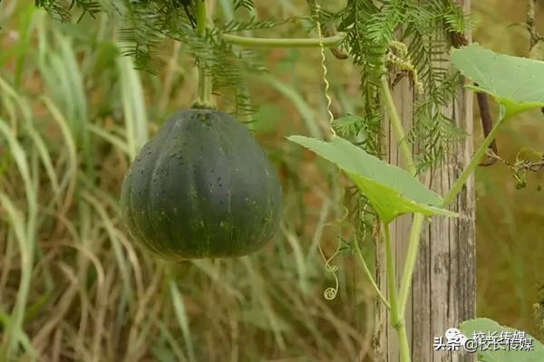 旅行的意義：我們窮，只此一身青春