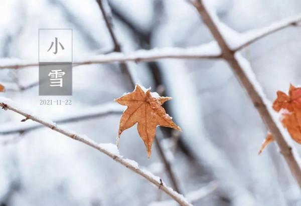 今日小雪:煲這6道寧心安神湯,滋補美味,讓你大冷天也熱熱乎乎 今日小雪:煲這6道寧心安神湯,滋補美味,讓你大冷天也熱熱乎乎