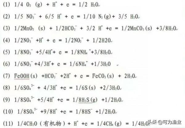 養殖中後期氨氮、亞鹽總是束手無策?不如試試調好orp 養殖中後期氨氮、亞鹽總是束手無策?不如試試調好orp