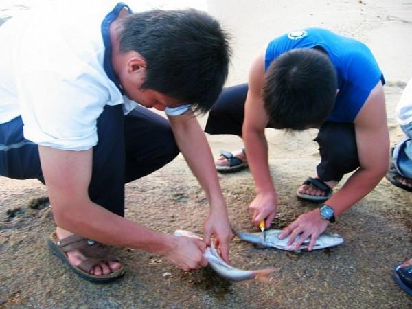 福建古雷：在無人的孤島上露營