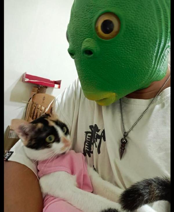 網友戴著面具抱著貓，它並不害怕甚至想吃一口：我該從哪裡下嘴？