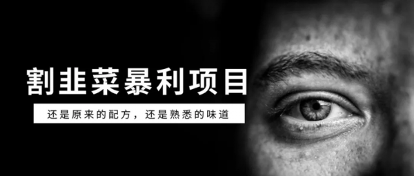 為什麼中國駭客在國際上的地位不高? 為什麼中國駭客在國際上的地位不高?