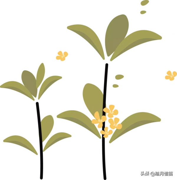 中秋遊新疆 | 去天池 尋找秋天的童話 中秋遊新疆 | 去天池 尋找秋天的童話