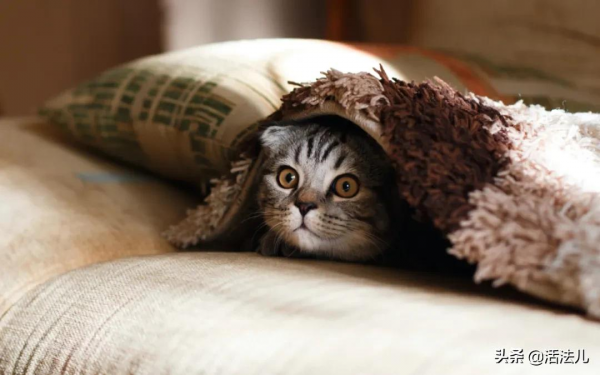 明日立冬：寒流來襲，一年裡降溫最大的時候，這6大宜忌要注意