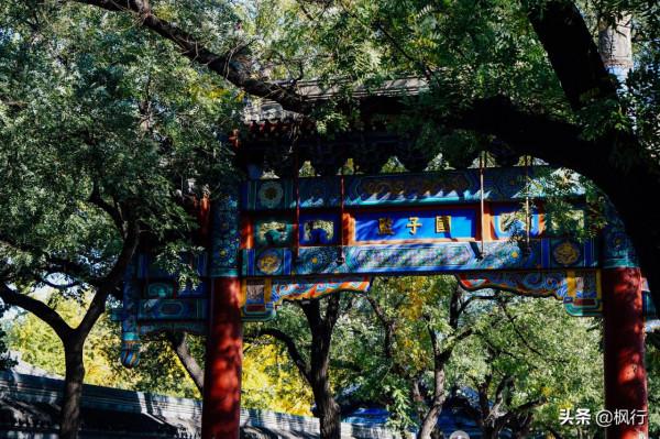 再有半個月，北京將迎來最美的季節，12個銀杏寶藏地，附機位攻略