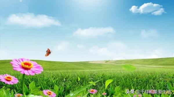 暑假開學致家長的一封信 暑假開學致家長的一封信