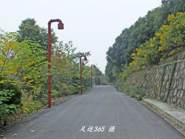 南京浦口“東龍山郊野公園” 南京浦口“東龍山郊野公園”