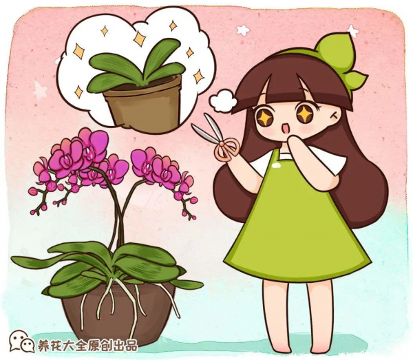 花開完之後別急著扔，趕緊剪一遍，還能繼續開花