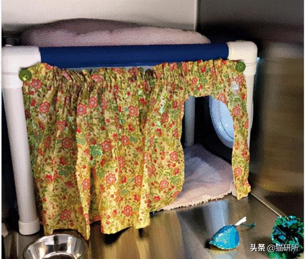 假期外出,如何給貓咪找靠譜寄養? 假期外出,如何給貓咪找靠譜寄養?