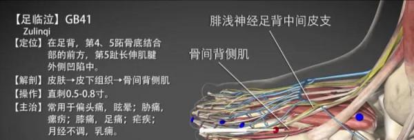 足臨泣穴簡介 足臨泣穴簡介