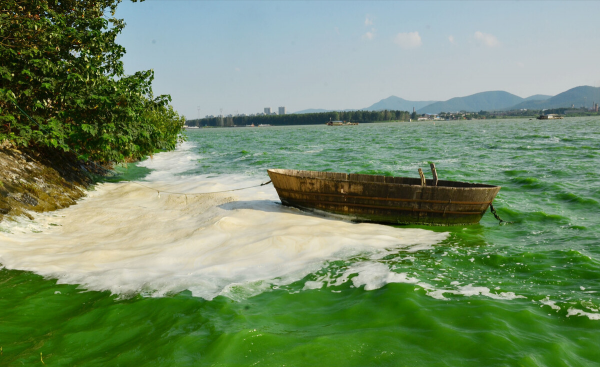 巢湖的隱患:“長江魚庫”散財70年,淤泥引發“營養危機”? 巢湖的隱患:“長江魚庫”散財70年,淤泥引發“營養危機”?