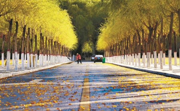 迷人的城市色彩