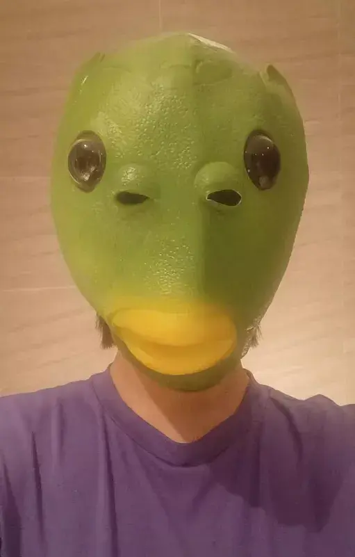 淘寶“年度醜東西”5強揭曉，楊紫買的頭套入選了？