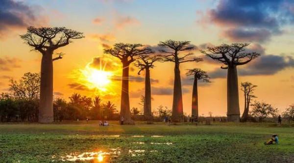 尋寶非洲·第四大島的寶石世界