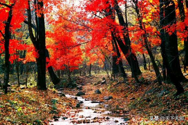 《中國無神論史》連載29——人是否可以輪迴為蟲