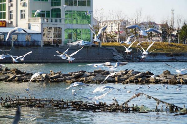 河北小哥租房環遊全國:用衛星地圖搜房價窪地 別墅區月租600 河北小哥租房環遊全國:用衛星地圖搜房價窪地 別墅區月租600