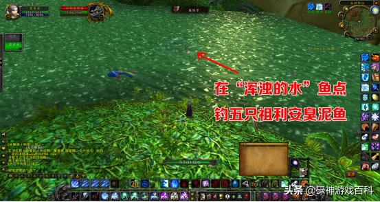 TBC懷舊服：法師變龜術獲取指南