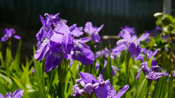 政治學學科最好的十所大學